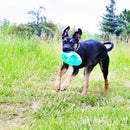 Bola Kong Jumbler Football para Cachorro - New York Pets