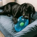 Bola Kong Jumbler Football para Cachorro - New York Pets