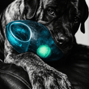 Bola Kong Jumbler Football para Cachorro - New York Pets