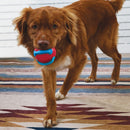 Bola para Cachorro Kong Jaxx Brights - New York Pets