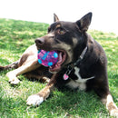 Bola para Cachorro Kong Wrapz Sport - New York Pets