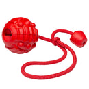 Bola Recheavel Hercules com Corda aroma Carne para cachorro - New York Pets
