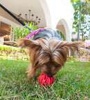 Bola Recheável JW Megalast Ball - New York Pets