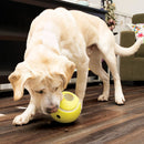Bola Recheável Kong Rewards Tennis Ball - New York Pets
