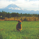 Bola Whistler Chuckit com Apito Médio para Cães - New York Pets