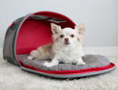 Bolsa de Transporte Pet E Tapete De Viagem 2 Em 1 Kong Travel - New York Pets