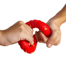 Brinquedo Anel Flexring Xtreme Germanhart para cachorro - New York Pets