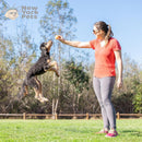 Brinquedo Confetti Ball Chuckit! Exclusivo Edição Limitada - New York Pets