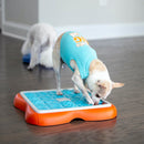 Brinquedo Interativo Para Cachorro Nina Ottosson Challenge Slider - New York Pets