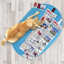 Brinquedo Jornal Kong Daily para Cachorro - New York Pets