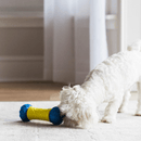 Brinquedo Jw Robo Bone Dispensador Eletrônico Automatico para Cães e Gatos - New York Pets