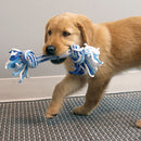 Brinquedo Kong Corda Rope Stick Puppy - New York Pets