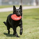 Brinquedo Kong Frisbee Flyer para Cães - New York Pets