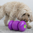 Brinquedo Kong Replay - Recheavel para Cachorro - New York Pets
