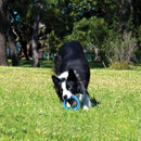 Brinquedo Kong Rogz Pop - Upz para Cachorro - New York Pets