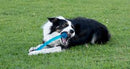 Brinquedo Kong Safestix Pequeno Para cachorro - New York Pets