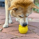 Brinquedo Mordedor Recheável Honey Pot Sodapup Para Cachorro - New York Pets