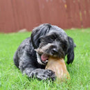 Brinquedo Orelha Suina de Nylon Pet Qwerks Sabor Bacon para Roer - New York Pets