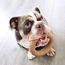 Brinquedo Osso para cachorro Nylon Rosquinha Pet Qwerks BarkBone Chew Ring - New York Pets