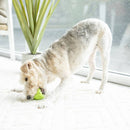 Brinquedo para cachorro JW Megalast Pirâmide com apito Verde - New York Pets