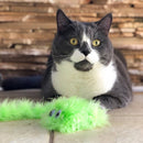 Brinquedo Pluma JW Gatos Featherlite Squeaky com Apito - New York Pets