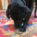 Brinquedo Recheavel de Pasta de Amendoim – Sodapup - New York Pets