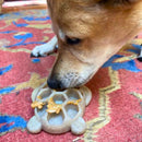 Brinquedo Recheavel de Tartaruga – Sodapup - New York Pets