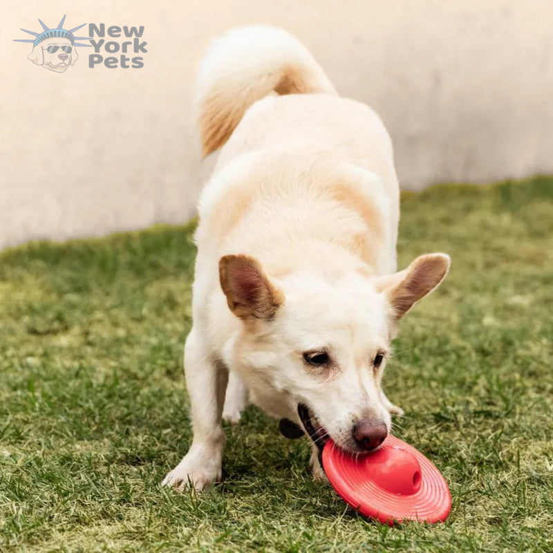 Brinquedo Recheável Disco Flutuante Focao Xplore Germanhart para cachorro - New York Pets
