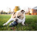 Brinquedo Recheável Kong Extreme para Cachorros - New York Pets