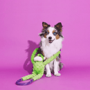 Cabo de Guerra de Pelucia modelo Macacos da Zippy Paws - New York Pets