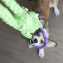 Cabo de Guerra de Pelucia modelo Macacos da Zippy Paws - New York Pets