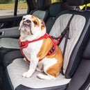 Cabo para assento de carro Kong Travel Ultimate Safety - New York Pets