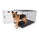 Caixa De Arame Cercado Gaiola Para Cães E Gatos Até - PRO VALU CRATE 48" ATÉ 57KG - New York Pets