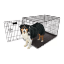 Caixa De Arame Cercado Gaiola Para Cães E Gatos - PRO VALU CRATE 30" ATÉ 23KG - New York Pets