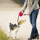 Caixa Multi Uso Flexi Preto - New York Pets