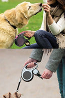 Caixa Multi Uso Flexi Preto - New York Pets