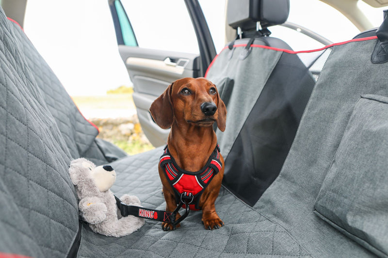 Capa XG Bancos Traseiros 2 Em 1 Kong Travel Para Cachorro - New York Pets