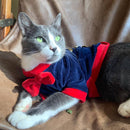 Casaco Monaco Plush - New York Pets