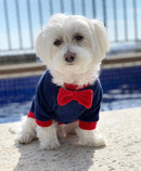 Casaco Monaco Plush - New York Pets