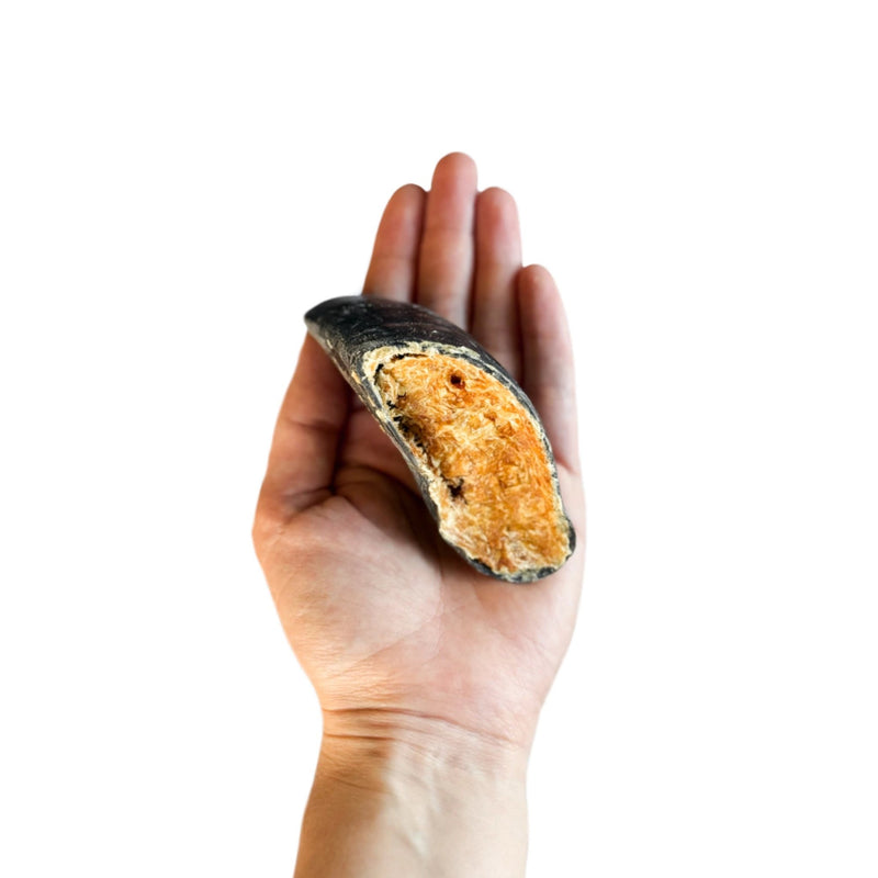 Casco Bovino Recheado com Frango – Para Cães de Todos os Portes - LUV - New York Pets