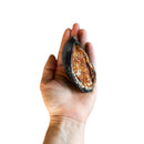 Casco Bovino Recheado com Lombo Suíno - Para Cachorro - LUV - New York Pets