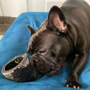 Chifre de búfalo para roer raças grandes – puretoy - New York Pets