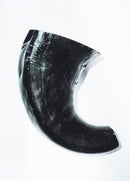 Chifre de búfalo para roer raças grandes – puretoy - New York Pets