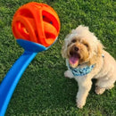 Chuckit! Air Fetch Ball - New York Pets