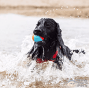 Chuckit! Amphibious Balls Kit 3 Unidades - New York Pets