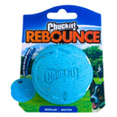 Chuckit! Ecofriendly Rebounce Ball - 1 unidade - New York Pets