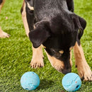 Chuckit! Ecofriendly Rebounce Ball - 1 unidade - New York Pets