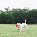 Chuckit! Rope Fetch Bola com corda - New York Pets
