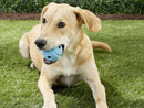 Chuckit! The Whistler Ball Grande - New York Pets