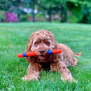 Chuckit Ultra Fetch Stick Bastao para Cachorro - New York Pets